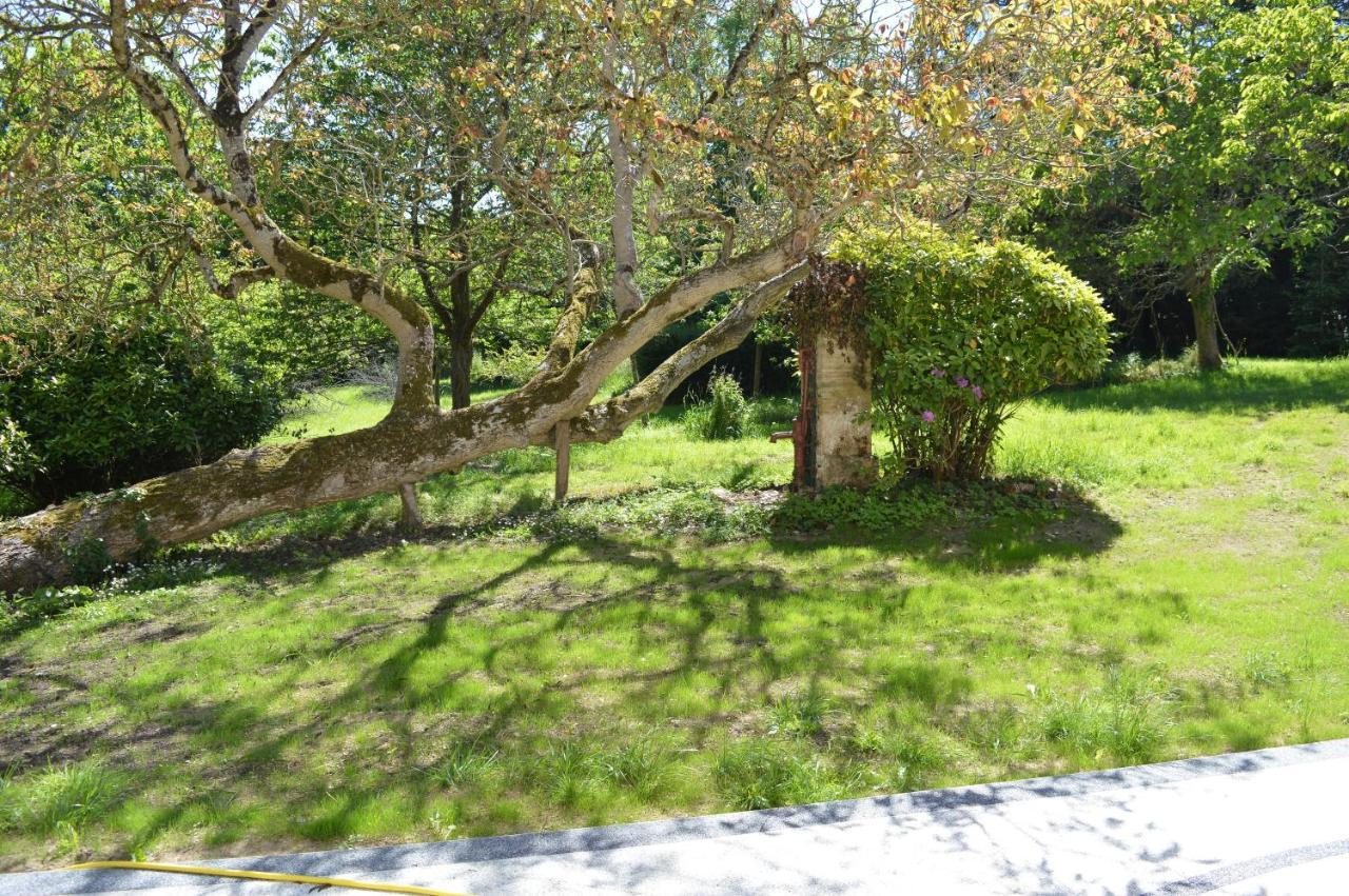 Maison Typique - Tres Grand Jardin - 7Km De La Mer Fontaine-Henry Exteriör bild